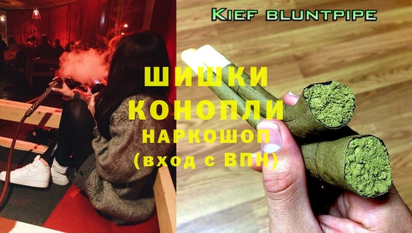 ПСИЛОЦИБИНОВЫЕ ГРИБЫ Алексеевка