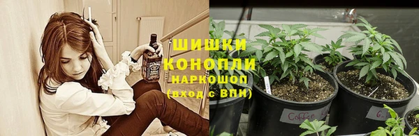 ГАЛЛЮЦИНОГЕННЫЕ ГРИБЫ Алексин