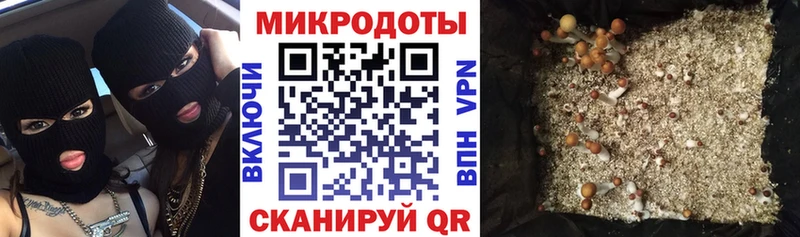 Галлюциногенные грибы Cubensis  Пошехонье 