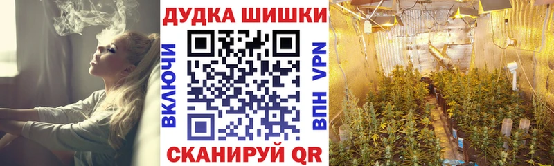 Бошки марихуана THC 21%  Пошехонье 